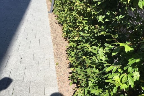 Außenreinigung_it_Grünpflege